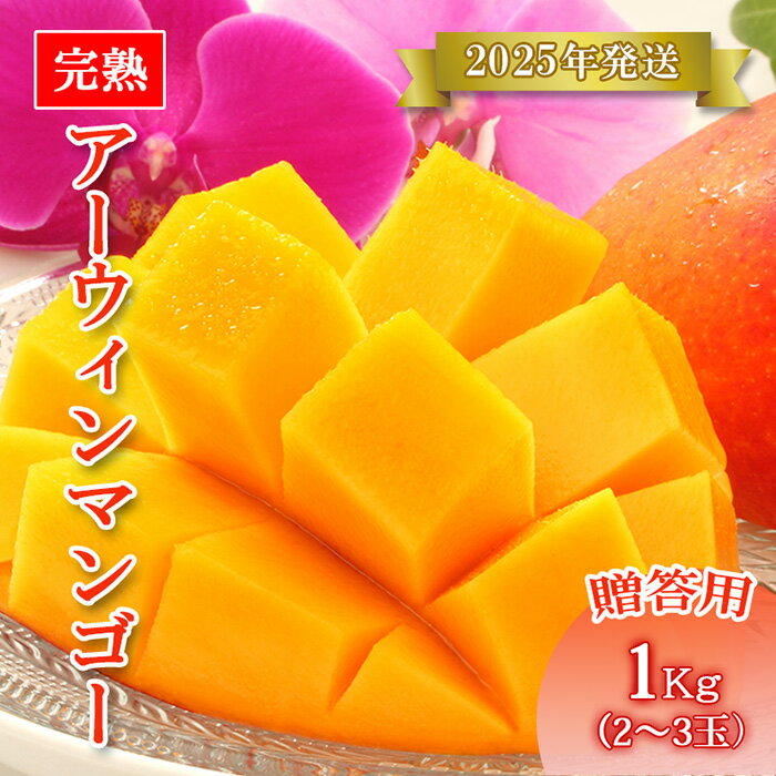 【ふるさと納税】【先行予約】<2025年発送>いらぶ島マンゴー園 宮古島産“完熟アーウィンマンゴー”《贈答用》1kg(HR03)