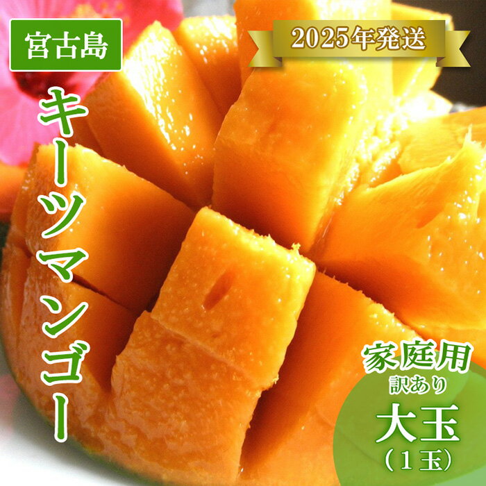 【ふるさと納税】【先行予約】<2025年発送>いらぶ島マンゴー園 宮古島産“キーツマンゴー”《家庭用》大玉1玉 900g以上(HR08)