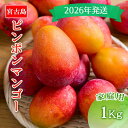 【ふるさと納税】【先行予約】<2026年発送>いらぶ島マンゴー園 宮古島産“ピンポンマンゴー”家庭用 / 訳アリ(1kg)(HR02)