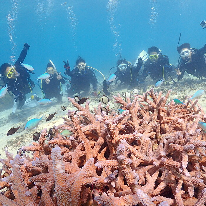 沖縄県宮古島市の画像3