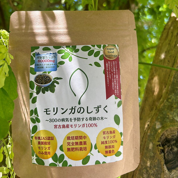 沖縄県宮古島市の画像3