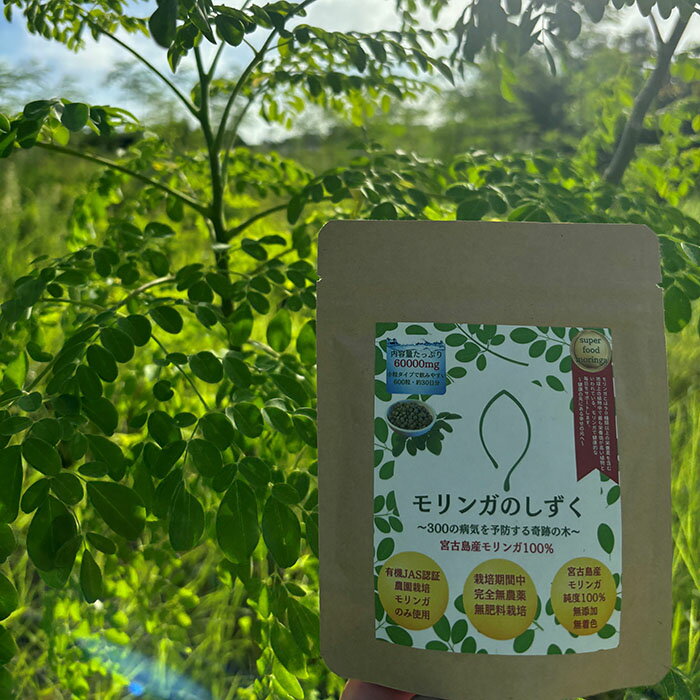 沖縄県宮古島市の画像2