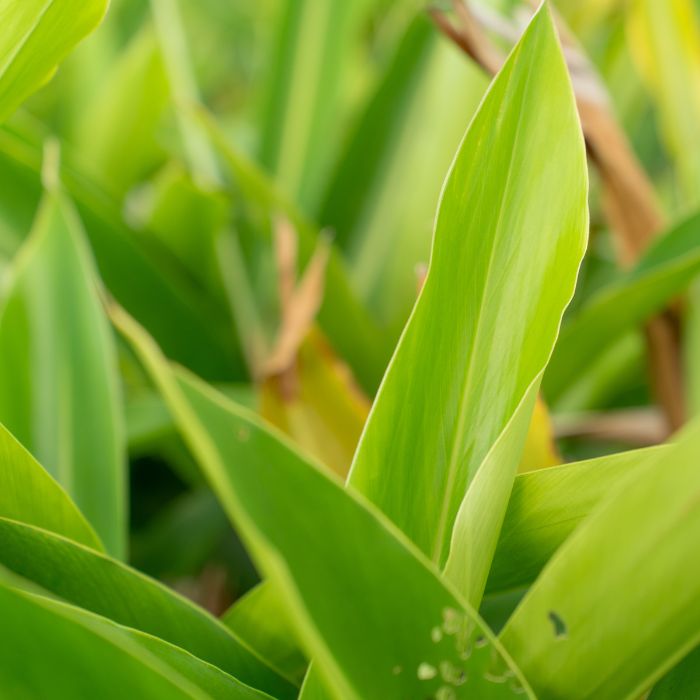 沖縄県宮古島市の画像2