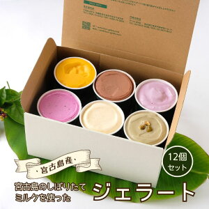 【ふるさと納税】ジェラート12個セット | トロピカル 夏ギフト お中元 夏 クリスマス アイス 詰め合わせ セット ジェラート おやつ お菓子 スイーツ 沖縄 宮古島(C101)