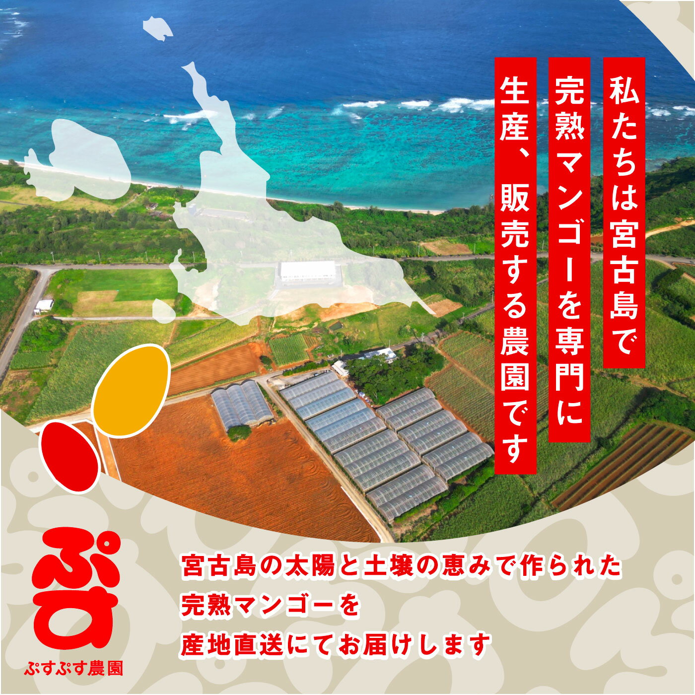 沖縄県宮古島市の画像3