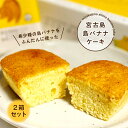 【ふるさと納税】希少種の島バナナをふんだんに使った『宮古島 島バナナケーキ』2箱セット(AB107)