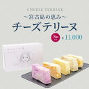 【ふるさと納税】~宮古島の恵み~ チーズテリーヌ 5個セット(AYT002)