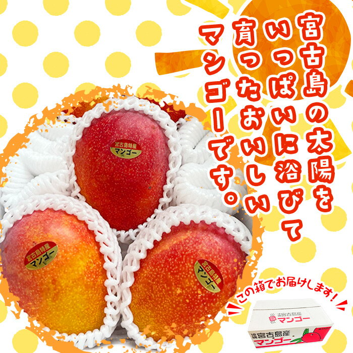 沖縄県宮古島市の画像2