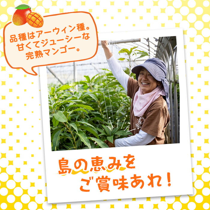 沖縄県宮古島市の画像3