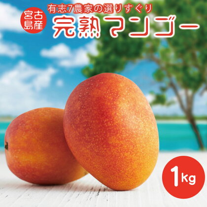 ★令和6年発送★完熟アップルマンゴー 1kg【農空間】 | 数量限定 アップルマンゴー マンゴー 果物 フルーツ ご褒美 おすすめ ギフト プレゼント お取り寄せ 送料無料 沖縄 宮古島 南国（Y208）