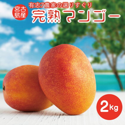 ★令和6年発送★完熟アップルマンゴー 2kg【農空間】 | 数量限定 アップルマンゴー マンゴー 果物 フルーツ ご当地 人気 ご褒美 おすすめ ギフト プレゼント お取り寄せ 送料無料（Y209）