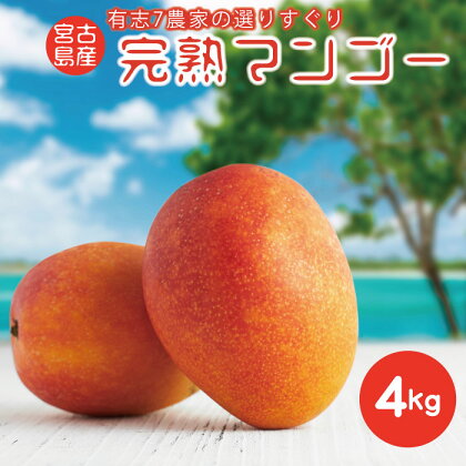 ★令和6年発送★完熟アップルマンゴー 4kg【農空間】 | 数量限定 アップルマンゴー マンゴー 果物 フルーツ ご当地 人気 ご褒美 おすすめ 取り寄せ お取り寄せ 送料無料（Y210）