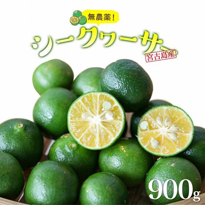 沖縄・宮古島産｜シークワーサー（900g）生果実 青切り | 柑橘 無農薬 フルーツ 果物 人気 送料無料 ギフト プレゼント お土産 南国 沖縄 宮古島