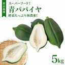 【ふるさと納税】沖縄・宮古島産|南国の青パパイヤ(5kg)酵素の王様!フレッシュな美味しさ(AR207) | パパイヤ 無農薬 特産 フルーツ 果物 人気 送料...