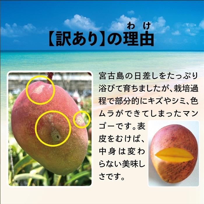 【ふるさと納税】宮古島すがわら農園　【訳あり】完熟マンゴー4kg（8玉以上詰め合わせ）(FR005)