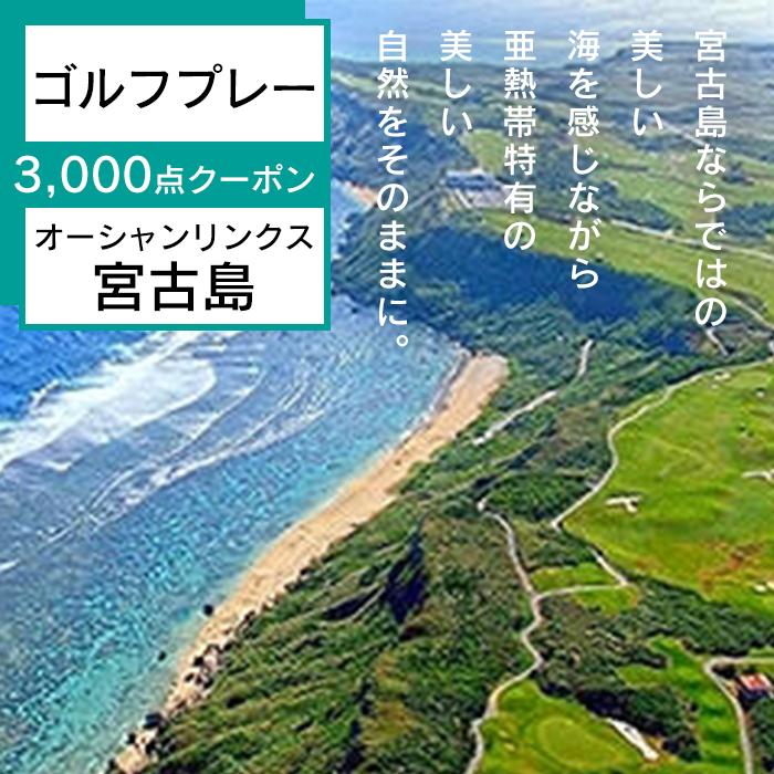 ゴルフチケット 【ふるさと納税】オーシャンリンクス宮古島　プレー3,000点クーポン | ゴルフ プレー券 ゴルフ利用券 観光 チケット 旅 リゾート ギフト プレゼント 人気 おすすめ 沖縄 南国 宮古島 離島（L103）