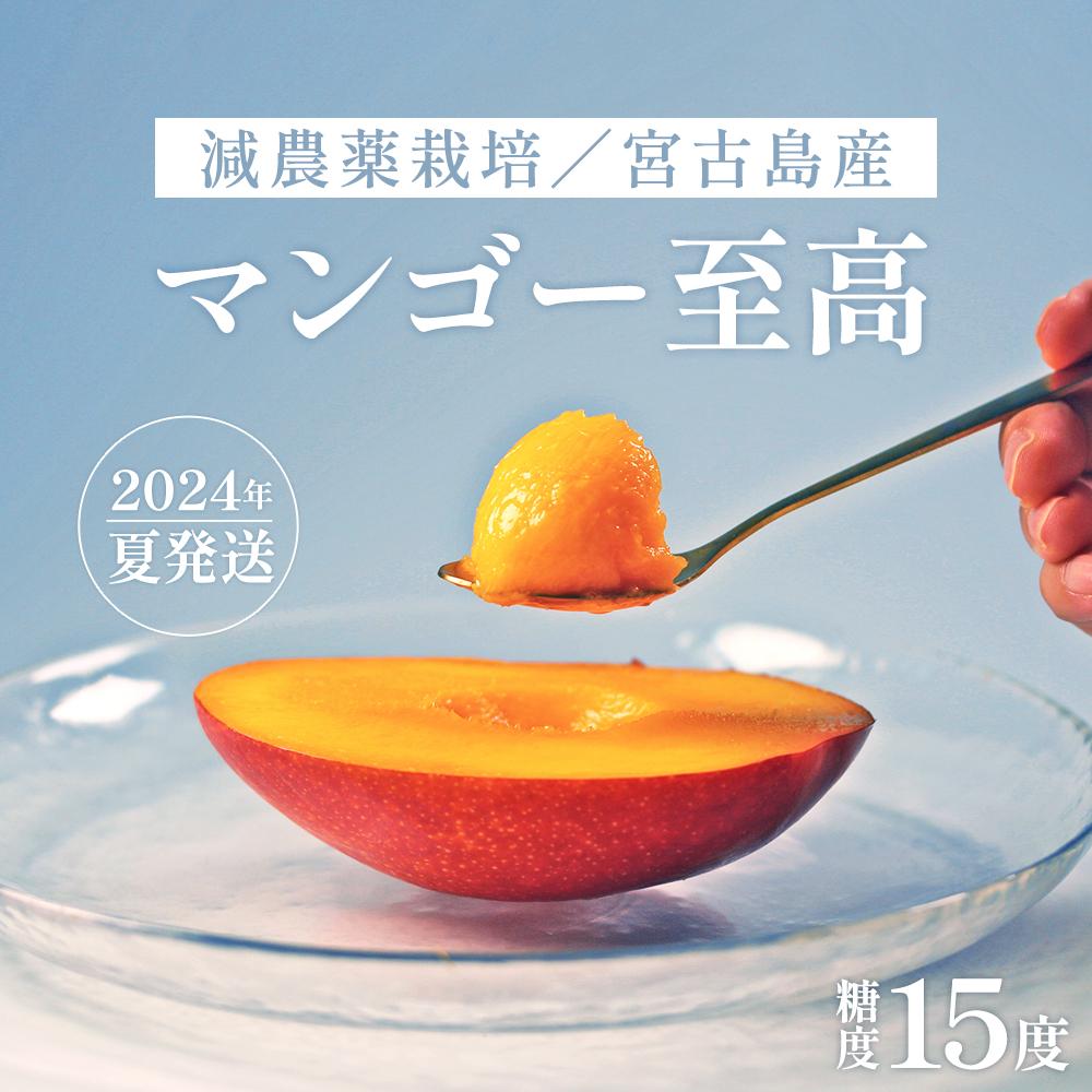 【ふるさと納税】《先行予約》沖縄・宮古島 減農薬栽培マンゴー 2kg【最良品】(AR209)｜贈答用・糖度15度以上！｜琉球マルシェ | 贈答 至高 数量限定 マンゴー 食べ比べ フルーツ 名産品 ご当地 人気 ギフト プレゼント おすすめ お取り寄せ 送料無料 沖縄 宮古島 南国