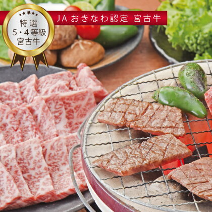 JA認定宮古牛　特選5等級・4等級　焼肉　400g | 幻の和牛 焼肉 特選 宮古牛 牛肉 牛 数量限定 人気 おすすめ 送料無料 お取り寄せ 取り寄せ 沖縄 南国 宮古島 離島