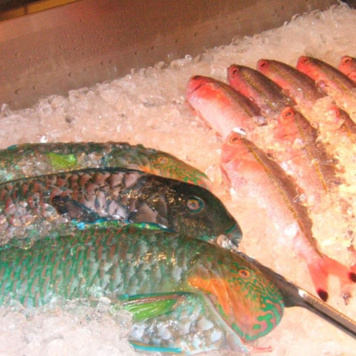 沖縄県宮古島市の画像3