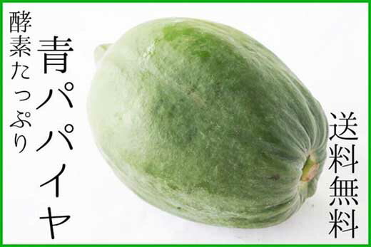 【ふるさと納税】沖縄・宮古島産|南国の青パパイヤ(5kg)酵素の王様!フレッシュな美味しさ
