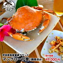 沖縄/宮古島/ふるさと納税/おすすめ/カニ/お歳暮/年末/蟹/