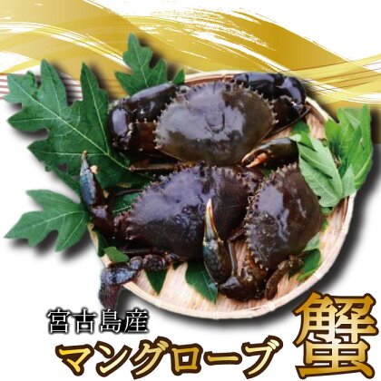 蟹蔵のマングローブ蟹 | 南国 沖縄 宮古島 離島 マングローブ 蟹 カニ ご当地