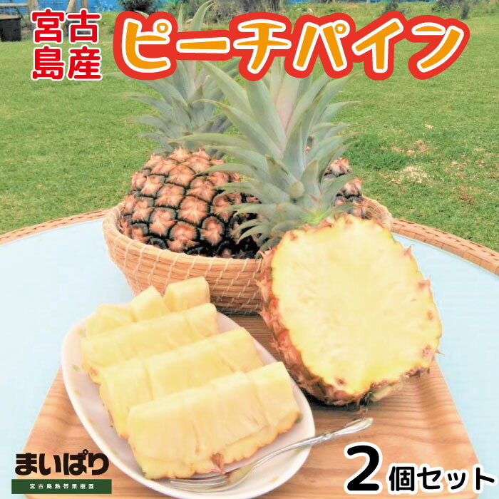 ・ふるさと納税よくある質問はこちら ・寄付申込みのキャンセル、返礼品の変更・返品はできません。あらかじめご了承ください。 ・ご要望を備考に記載頂いてもこちらでは対応いたしかねますので、何卒ご了承くださいませ。 ・寄付回数の制限は設けておりません。寄付をいただく度にお届けいたします。 商品概要 まるで桃のようなあまーい味と香りが特徴のピーチパイン。 珊瑚が風化したアルカリ土壌で育った、ミネラル・ビタミンたっぷりの完熟パインができました。 酸味が少なく、甘味たっぷり！期間限定商品となりますので、 是非この機会に、南国【宮古島産】ピーチパインをご賞味下さい。 【保存方法】冷蔵 【注意事項】 ・発送時期は例年の発送状況を目安に設定しております。 天候や収穫状況によっては、お届けが前後する事があります。 ・天候や収穫状況によって発送できない場合、 別途ご連絡をさせていただきます。 （代替品として 他生産者の同果物（同野菜）、または他の同等の返礼品を発送させていただきます。） ・商品到着から3日以内に、現物の確認をお願いいたします。 到着から3日を超えた場合の対応は出来かねます。 ・お申込み上限数に達し次第、予告なしに申し込み受付を締め切りとすることがあります。 ・掲載画像はイメージです。 ※お礼の品・配送に関するお問い合わせは、【まいぱり宮古島熱帯果樹園（宮古観光開発株式会社）：0980-74-7830】までお願いします。 内容量・サイズ等 2個 賞味期限 到着から3日以内 配送方法 常温 発送期日 2024年5月15日～2024年6月15日まで順次発送 名称 パイン 産地名 国産（沖縄県宮古島市） 保存方法 冷蔵保存 事業者情報 事業者名 まいぱり宮古島熱帯果樹園（宮古観光開発株式会社） 連絡先 0980-74-7830 営業時間 10：00～17：00 定休日 4月～9月：定休日無し 10月～3月：毎週水曜日「ふるさと納税」寄付金は、下記の事業を推進する資金として活用してまいります。 （1）市長お任せコース （2）エコアイランド宮古島応援コース （3）スポーツアイランド宮古島応援コース （4）宮古島の子育て応援コース （5）宮古島の人材育成応援コース （6）がんずう（ 健康 ）宮古島応援コース （7）芸術・文化振興の宮古島応援コース