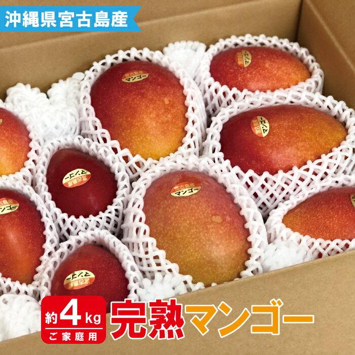 【ふるさと納税】【宮古島産マンゴー】ご家庭用 4kg（8-11玉）マンゴーファーム宮古島 | 数量限定 家...