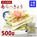 4位! 口コミ数「3件」評価「5」島らっきょう（500g） | 南国 沖縄 離島 宮古島 島ラッキョウ 塩漬け 浅漬け 天ぷら