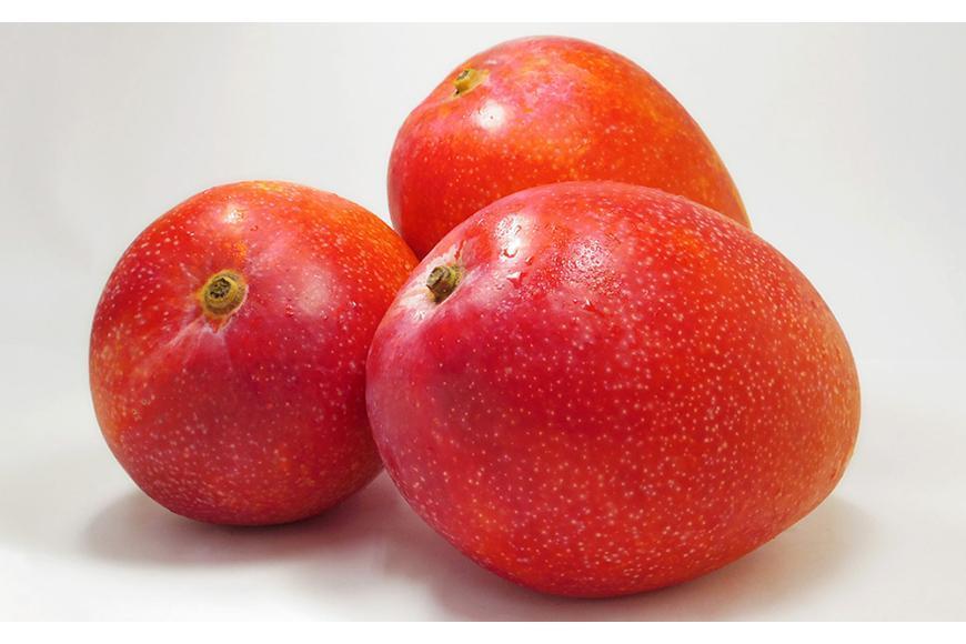 沖縄県宮古島市の画像2