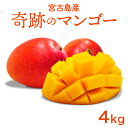 【ふるさと納税】《先行予約2026年発送》【宮縁果樹園】宮古島産 奇跡のマンゴー 4kg お手頃(CZ014)