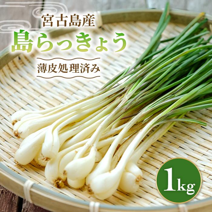 宮古島産 島らっきょう1kg(薄皮処理済み) パニパニファーム(PN05)