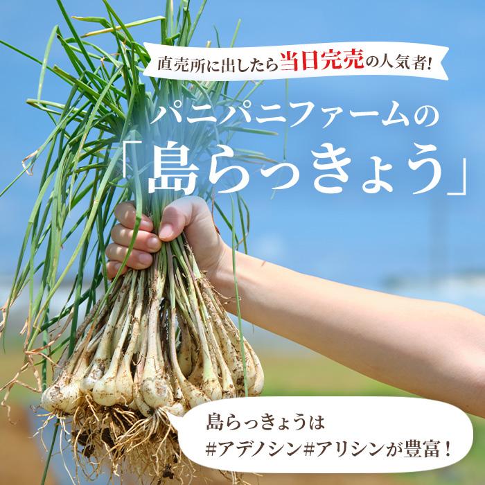 沖縄県宮古島市の画像2