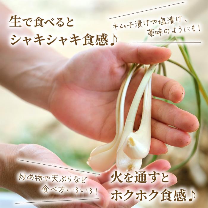 沖縄県宮古島市の画像3