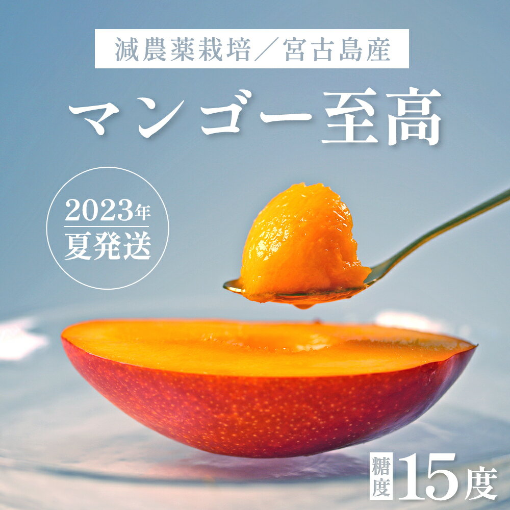 マンゴー | ふるさと納税の返礼品一覧(17サイト横断・人気順)【2022年】 | ふるさと納税ガイド マンゴー | ふるさと納税の返礼品一覧(17サイト横断・人気順)【2022年】 | ふるさと納税ガイド