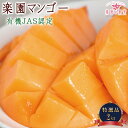 【ふるさと納税】《先行予約》2026年発送 有機JAS認証マンゴー(アーウィン)贈答用 2kg【楽園の果実】 | アップルマンゴー マンゴー 数量限定 名産 特産 名産品 取り寄せ お取り寄せ 送料無料 人気 ギフト プレゼント おすすめ 沖縄 宮古島 南国