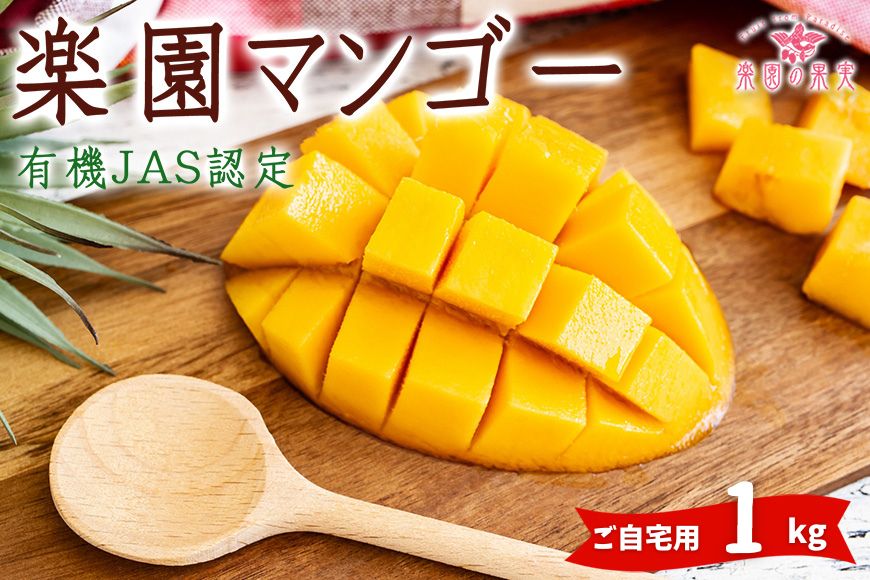 【ふるさと納税】《先行予約》2025年発送 有機JAS認証マンゴー(アーウィン)ご自宅用 1kg【楽園の果実】 | マンゴー 果物 フルーツ ご当地 アーウィン 有機 沖縄 宮古島