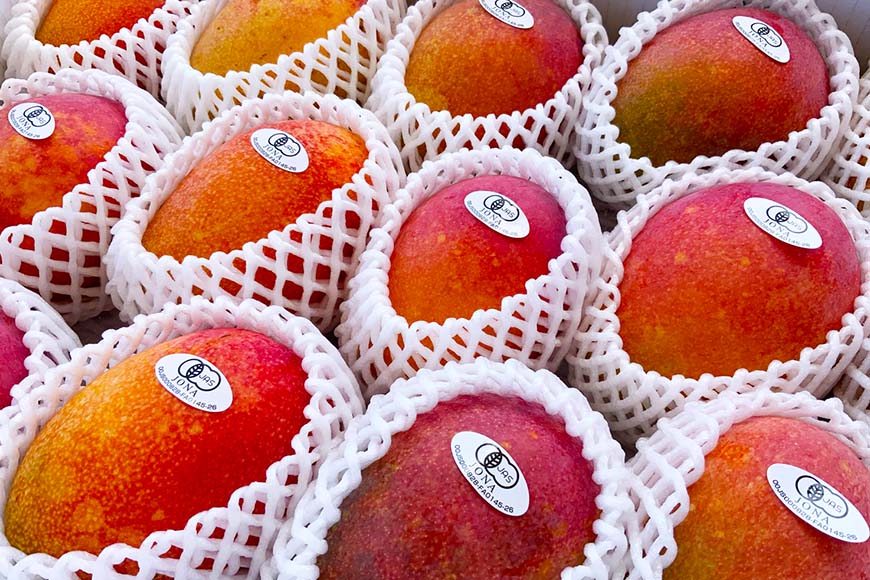 沖縄県宮古島市の画像2