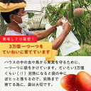 沖縄県宮古島市の画像3