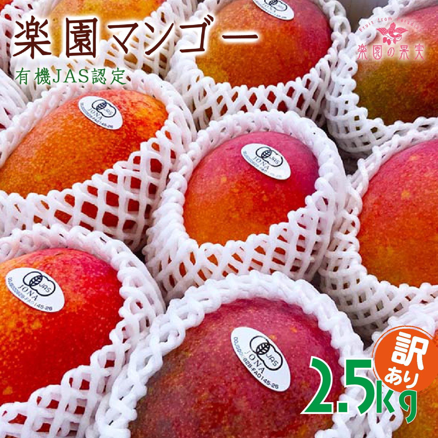 【ふるさと納税】《先行予約》2026年発送 有機JAS認証マンゴー(アーウィン)わけあり 2.5kg【楽園の果実】 | マンゴー アーウィン 訳あり わけあり ...