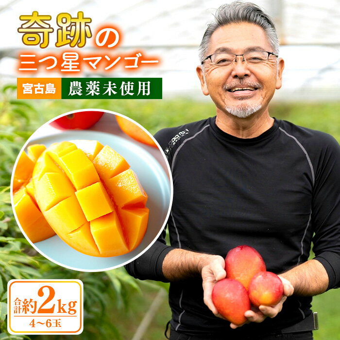 【ふるさと納税】【2023年発送】沖縄県宮古島産「完熟マンゴー」約2kg（4〜6玉）「畑ジェンヌ」農家直送 ◆家庭用◆ | 糖度18.0以上 三ツ星マンゴー 完熟 特産 数量限定 期間限定 人気 送料無料 おすすめ 南国 沖縄 宮古島のサムネイル