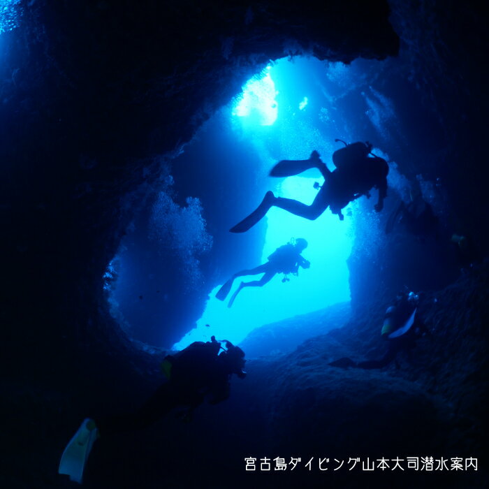 【ふるさと納税】宮古島でダイビン