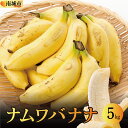 【ふるさと納税】バナナ 南城市 ナムワバナナ 5kg