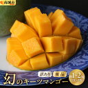 【ふるさと納税】【選べる内容量/種類】幻のキーツマンゴー