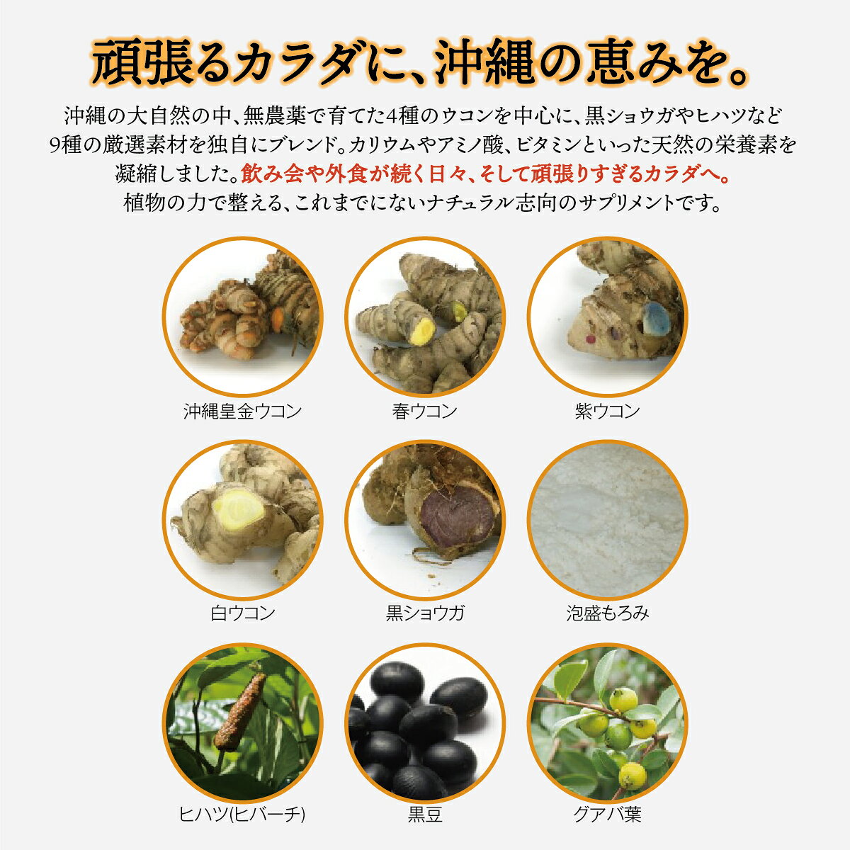 【ふるさと納税】沖縄県産4種のウコンと5種の美健素材（SAKEKING3個セット） I ウコン サプリ SAKEKING 3個 セット 沖縄県 南城市 ふるさと納税 リフェット