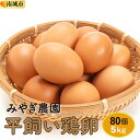 【ふるさと納税】平飼い鶏卵5kg