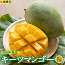 【ふるさと納税】【2025年発送】キーツマンゴー2kg(2個~3個)