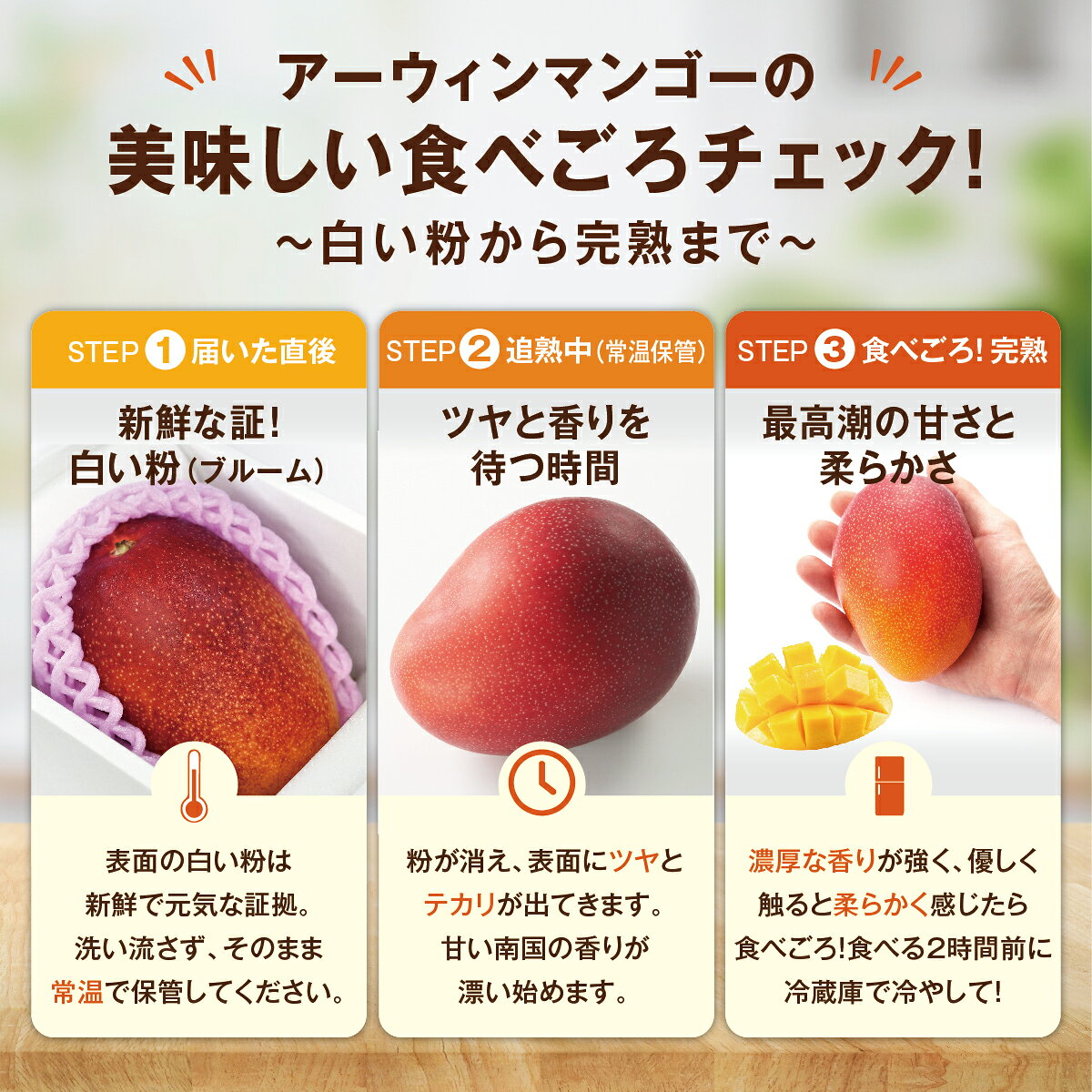 【ふるさと納税】＜選べる容量＞アップルマンゴー（1~2kg）優 I マンゴー アーウィン 嘉数マンゴー 1kg 2kg 化粧箱 贈答 フルーツ 果物 沖縄県 南城市 ふるさと納税 f472158-nanjo-10001475 沖縄県南城市 サンプル画像2
