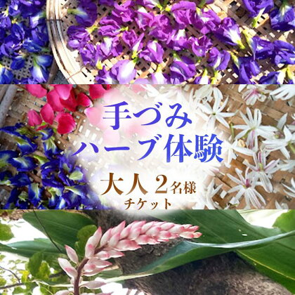 手づみハーブ体験 南城市 ペアチケット | 沖縄 沖縄県 南城市 ご当地 お取り寄せ お土産 沖縄お土産 沖縄土産 ふるさと 納税 チケット 体験 体験型 体験チケット ペアチケット 2人 ペア ふたり 体験型ふるさと納税 おすすめ 取り寄せ