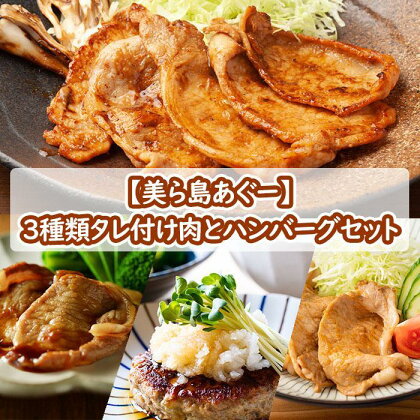 【美ら島あぐ～】3種類タレ付け肉とハンバーグセット | 個別包装 小分け 冷凍ハンバーグ 簡単調理 温めるだけ 豚バラ 西京漬け 豚ロース 塩麹